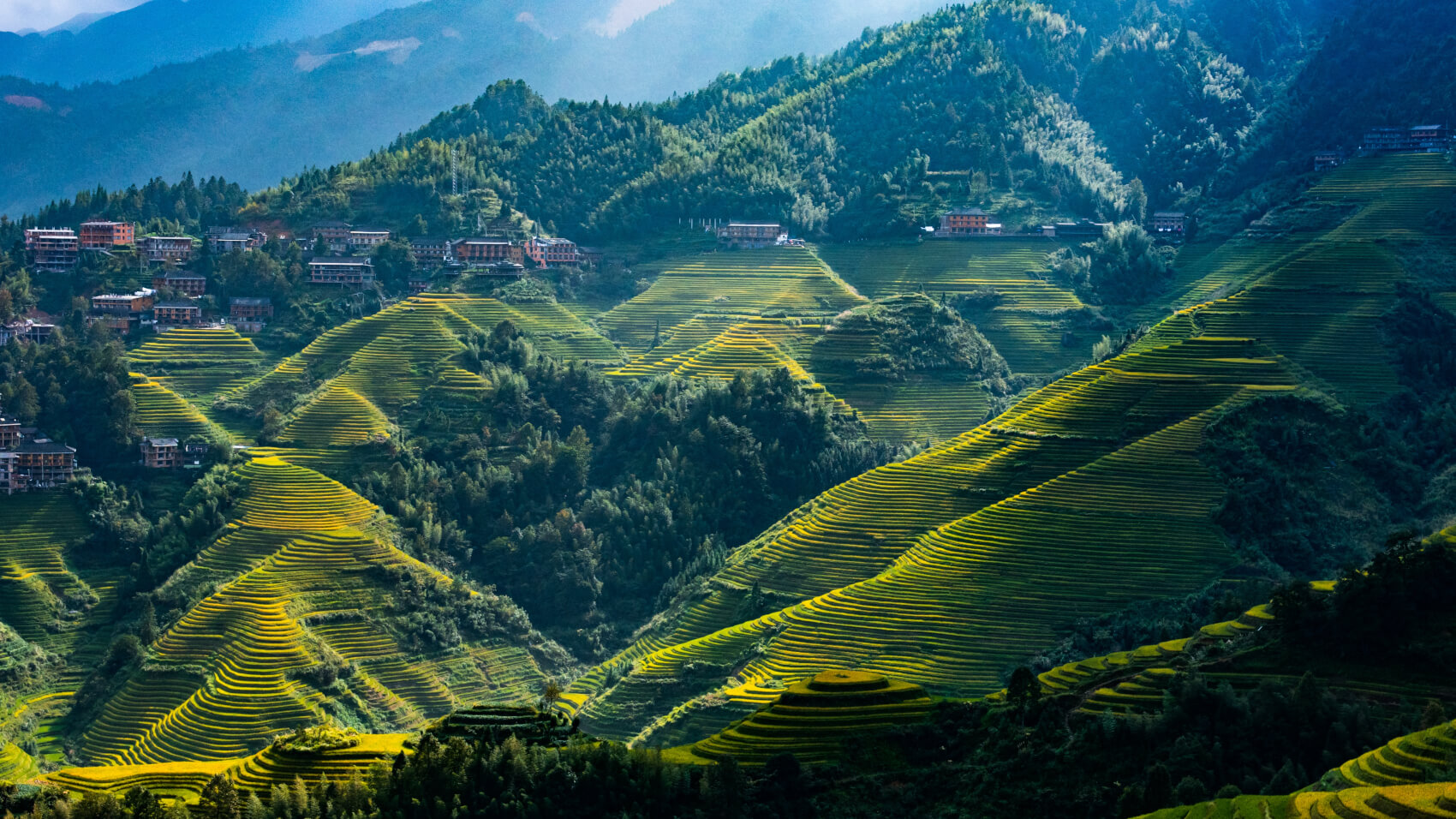 Chine