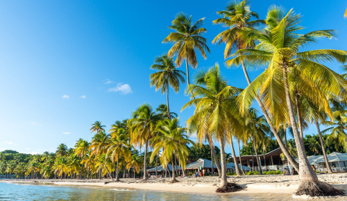 Martinique - Guadeloupe - Les Saintes