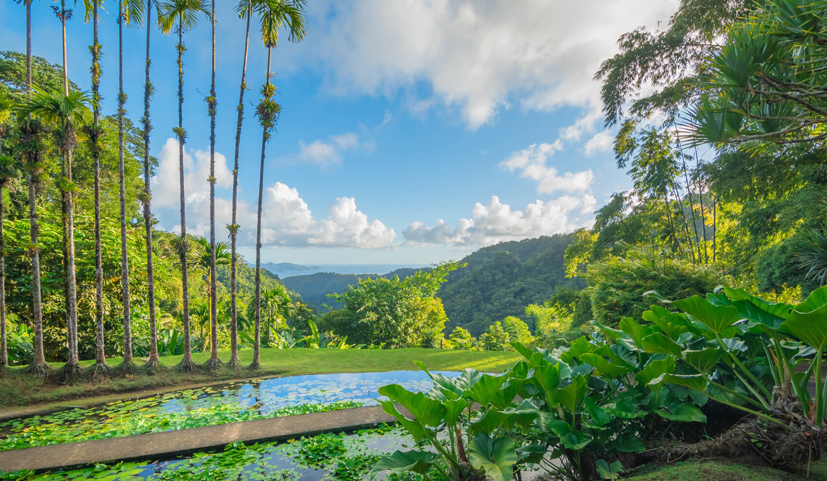 Martinique - Guadeloupe - Les Saintes