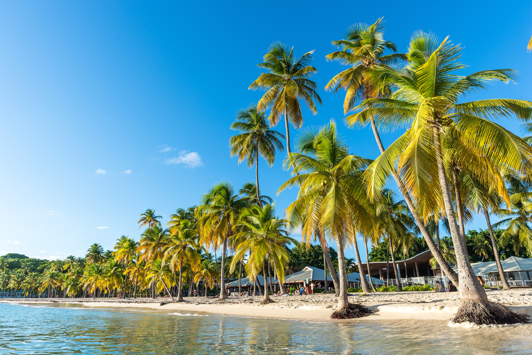 Martinique - Guadeloupe - Les Saintes